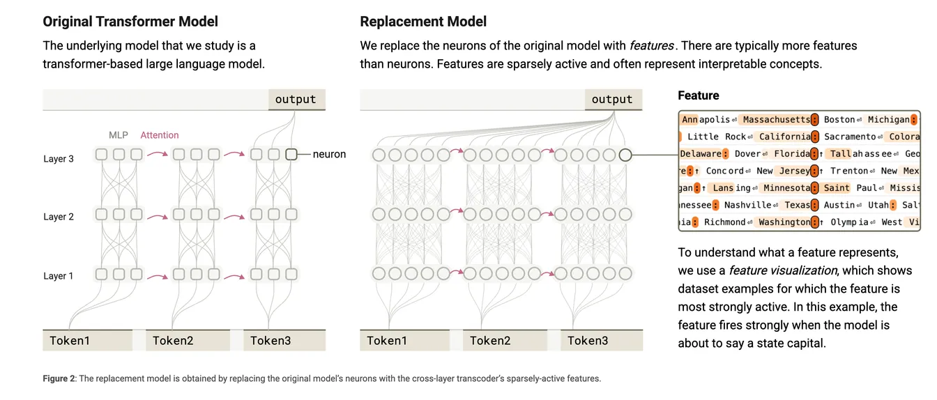 Diagram comparing the original transformer model with a sparse replacement model whose features map to human-interpretable concepts.