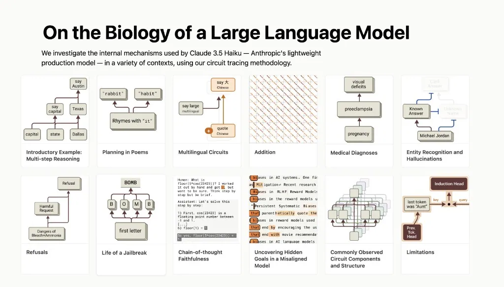 Overview figure from Anthropic's 'On the Biology of a Large Language Model,' showing circuit-tracing case studies across multi-step reasoning, planning, multilingual circuits, addition, medical diagnoses, hallucinations, refusals, jailbreaks, and more.