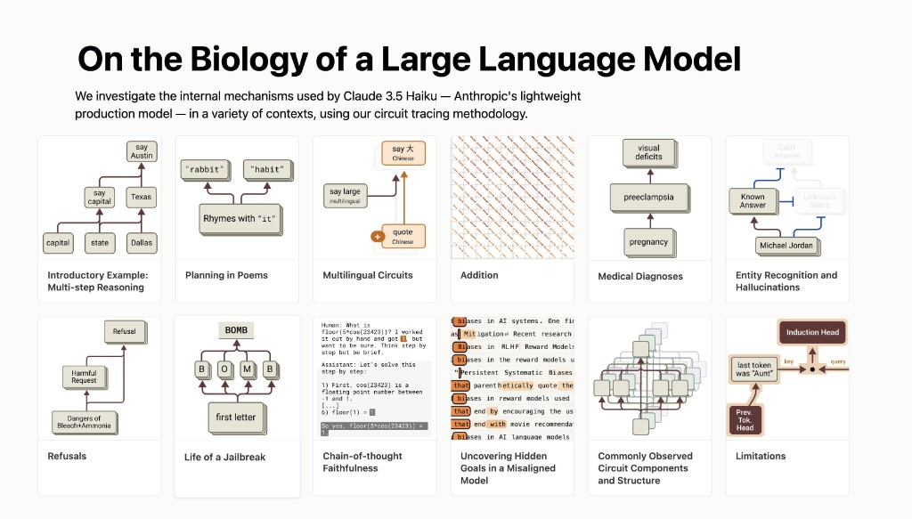 Overview figure from Anthropic's 'On the Biology of a Large Language Model,' showing circuit-tracing case studies across multi-step reasoning, planning, multilingual circuits, addition, medical diagnoses, hallucinations, refusals, jailbreaks, and more.